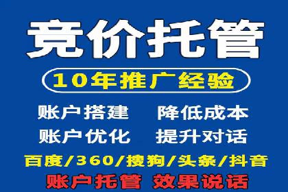 谷歌竞价广告的投放策略与成功案例分析